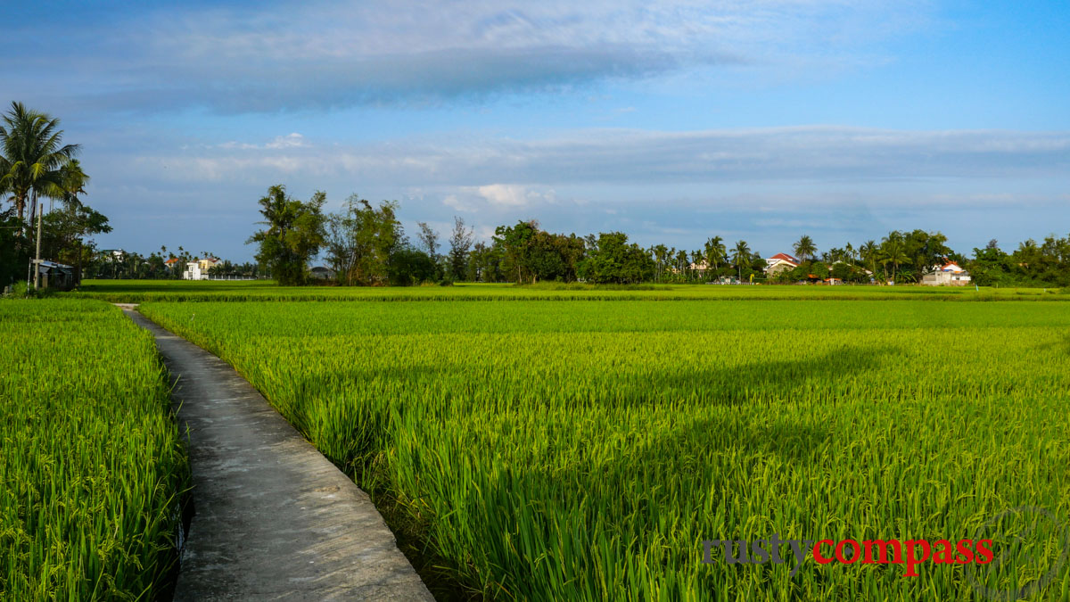 Cycling the Hoi An ricefields